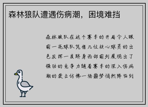森林狼队遭遇伤病潮，困境难挡
